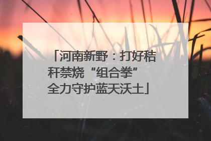 河南新野：打好秸秆禁烧“组合拳” 全力守护蓝天沃土