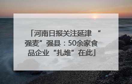 河南日报关注延津 “强麦”强县：50余家食品企业“扎堆”在此