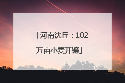 河南沈丘：102 万亩小麦开镰