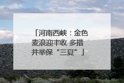 河南西峡：金色麦浪迎丰收 多措并举保“三夏”