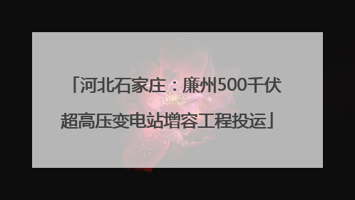 河北石家庄：廉州500千伏超高压变电站增容工程投运