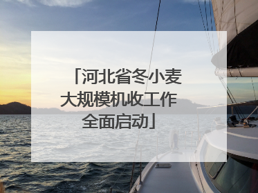 河北省冬小麦大规模机收工作全面启动