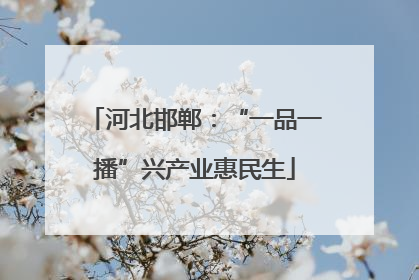 河北邯郸：“一品一播”兴产业惠民生