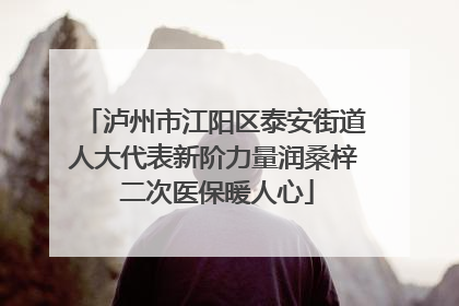 泸州市江阳区泰安街道人大代表新阶力量润桑梓 二次医保暖人心