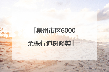 泉州市区6000余株行道树修剪