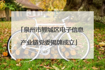 泉州市鲤城区电子信息产业链党委揭牌成立