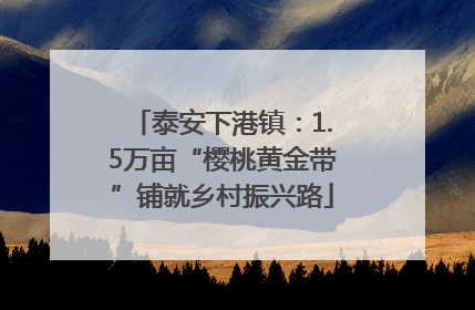 泰安下港镇：1.5万亩“樱桃黄金带”铺就乡村振兴路