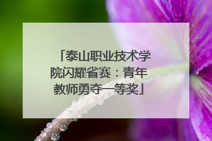 泰山职业技术学院闪耀省赛：青年教师勇夺一等奖