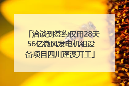 洽谈到签约仅用28天 56亿微风发电机组设备项目四川蓬溪开工