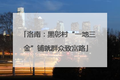洛南：黑彰村“一地三金”铺就群众致富路