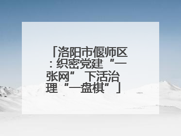 洛阳市偃师区：织密党建“一张网” 下活治理“一盘棋”