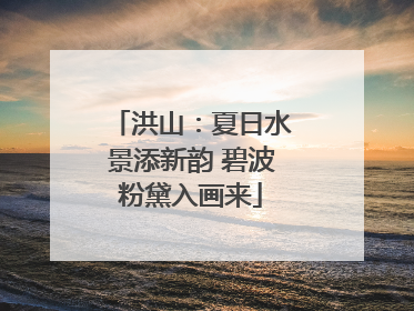 洪山：夏日水景添新韵 碧波粉黛入画来