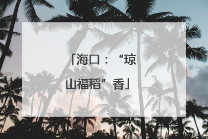 海口：“琼山福稻”香