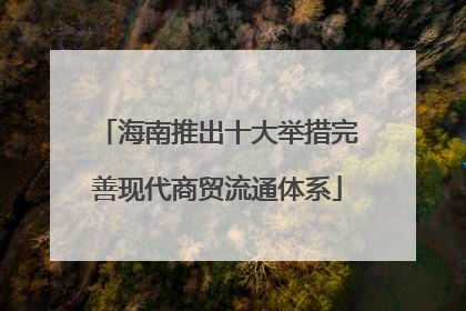 海南推出十大举措完善现代商贸流通体系