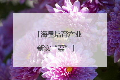 海垦培育产业新实“荔”