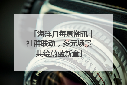 海洋月每周潮讯｜社群联动，多元场景共绘蔚蓝新章