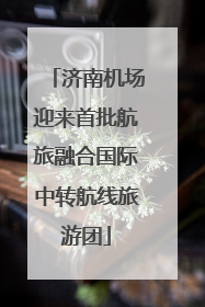 济南机场迎来首批航旅融合国际中转航线旅游团
