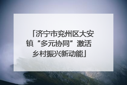 济宁市兖州区大安镇“多元协同”激活乡村振兴新动能