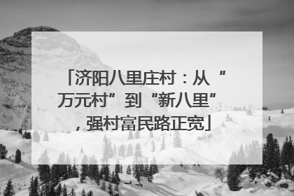 济阳八里庄村：从“万元村”到“新八里”，强村富民路正宽