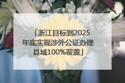浙江目标到2025年底实现涉外公证办理县域100%覆盖