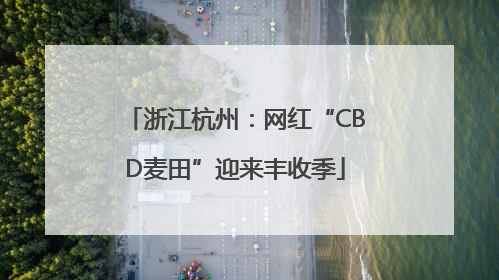 浙江杭州：网红“CBD麦田”迎来丰收季