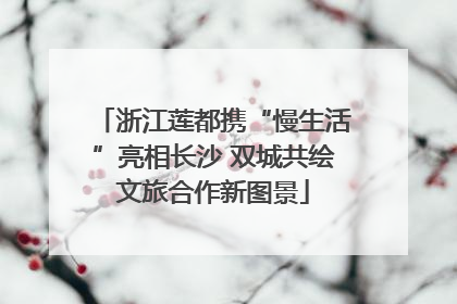 浙江莲都携“慢生活”亮相长沙 双城共绘文旅合作新图景