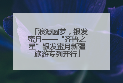 浪漫圆梦，银发蜜月——“齐鲁之星”银发蜜月新疆旅游专列开行