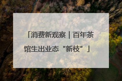消费新观察｜百年茶馆生出业态“新枝”