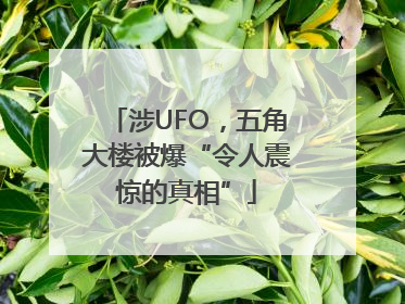 涉UFO，五角大楼被爆“令人震惊的真相”