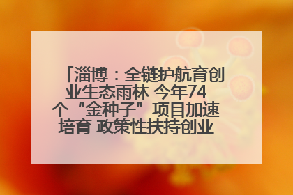 淄博：全链护航育创业生态雨林 今年74个“金种子”项目加速培育 政策性扶持创业9754人