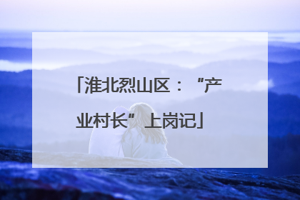 淮北烈山区：“产业村长”上岗记