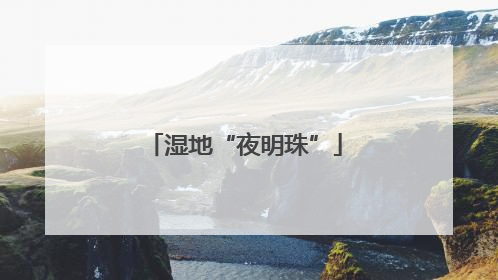 湿地“夜明珠”