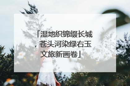 湿地织锦缀长城，苍头河染绿右玉文旅新画卷