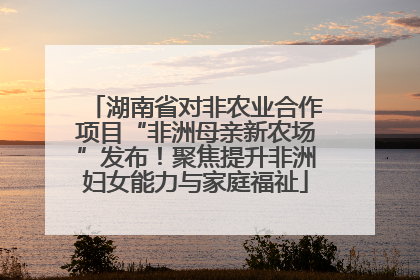 湖南省对非农业合作项目“非洲母亲新农场”发布！聚焦提升非洲妇女能力与家庭福祉