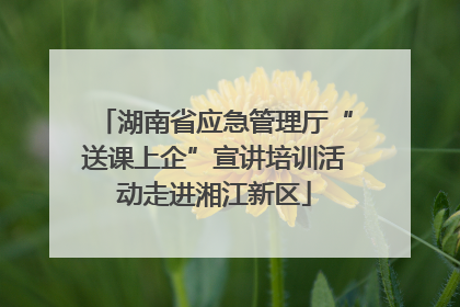 湖南省应急管理厅“送课上企”宣讲培训活动走进湘江新区