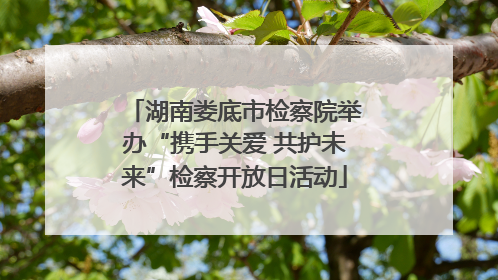 湖南娄底市检察院举办“携手关爱 共护未来”检察开放日活动