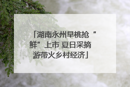 湖南永州早桃抢“鲜”上市 夏日采摘游带火乡村经济