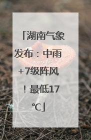 湖南气象发布：中雨+7级阵风！最低17℃