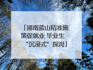湖南蓝山精准施策促就业 毕业生“沉浸式”探岗