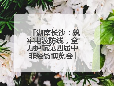 湖南长沙：筑牢电波防线，全力护航第四届中非经贸博览会