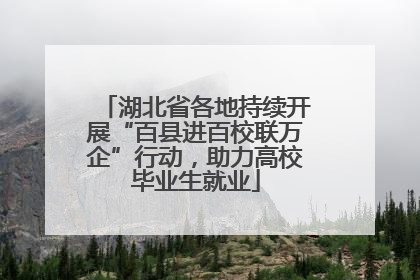 湖北省各地持续开展“百县进百校联万企”行动，助力高校毕业生就业