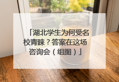 湖北学生为何受名校青睐？答案在这场咨询会（组图）