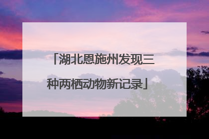 湖北恩施州发现三种两栖动物新记录