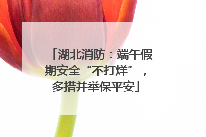 湖北消防：端午假期安全“不打烊”，多措并举保平安