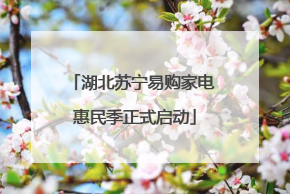 湖北苏宁易购家电惠民季正式启动