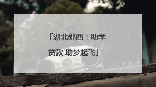湖北郧西：助学贷款 助梦起飞