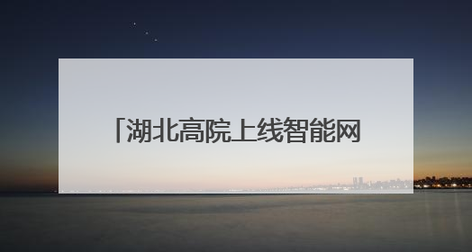 湖北高院上线智能网拍预警系统，打造司法拍卖“防火墙”
