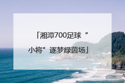湘潭700足球“小将”逐梦绿茵场