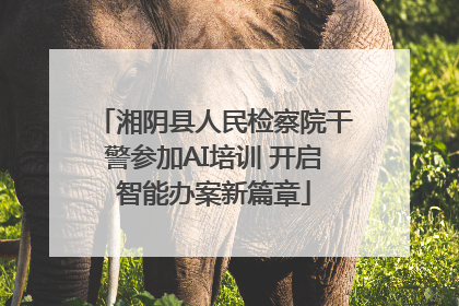 湘阴县人民检察院干警参加AI培训 开启智能办案新篇章
