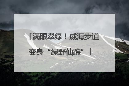 满眼翠绿！威海步道变身“绿野仙踪”
